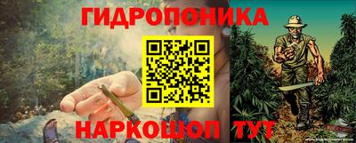 дживик Славгород