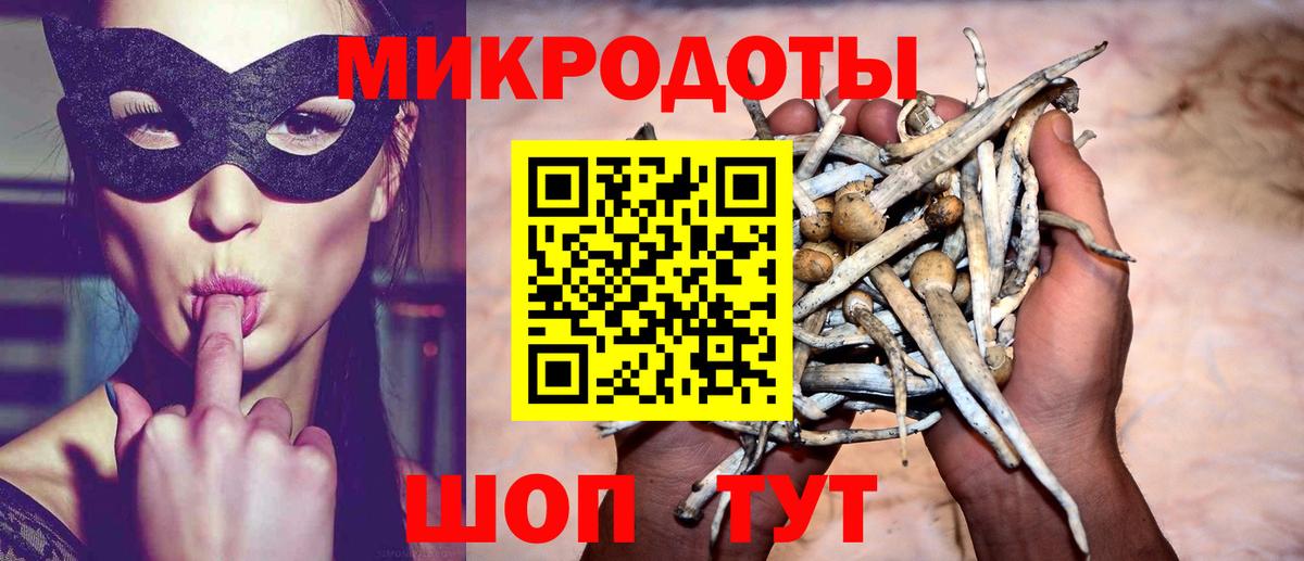 Псилоцибиновые грибы GOLDEN TEACHER Родники