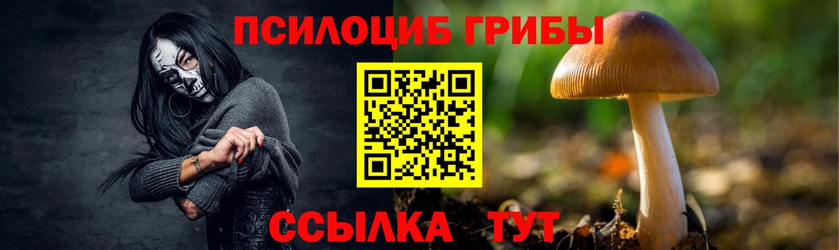 Родники  закладка  Вход с VPN  Псилоцибиновые грибы Magic Shrooms 